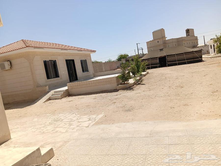 الجبيله العيينه بوضه64148025158147111