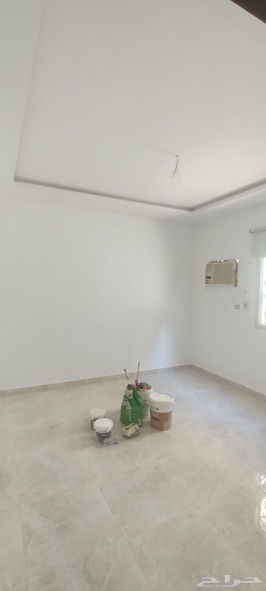 دهان مصرى ممتاز انشا الله64162475126657111