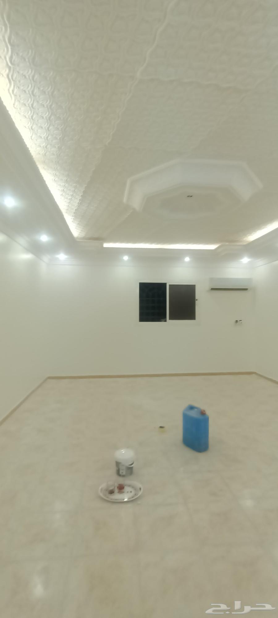 دهان مصرى ممتاز انشا الله64162475126657114