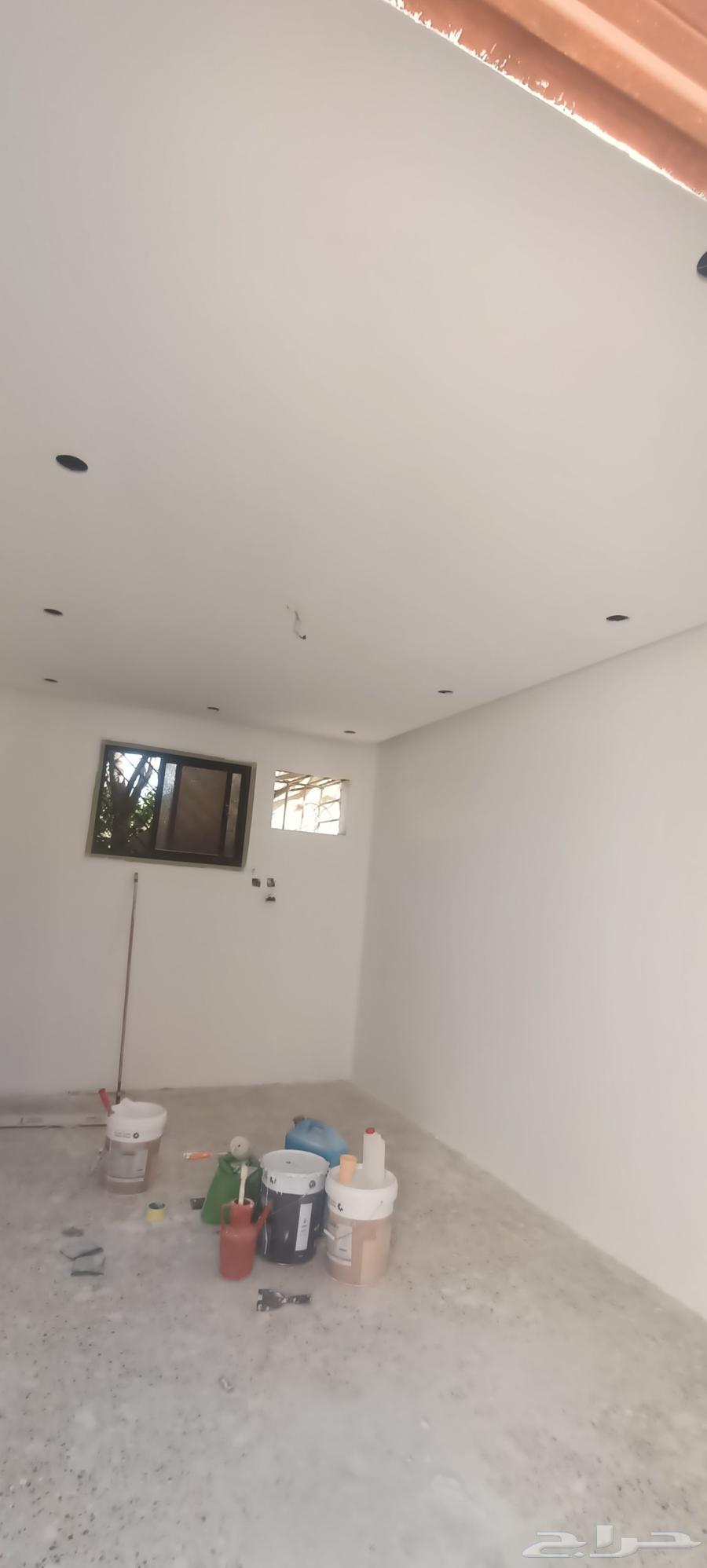 دهان مصرى ممتاز انشا الله64162475126657112