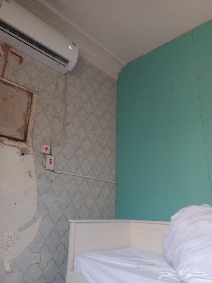 Construction supervisor for renovation, maintenance, and painting in Jeddah64161627854978112