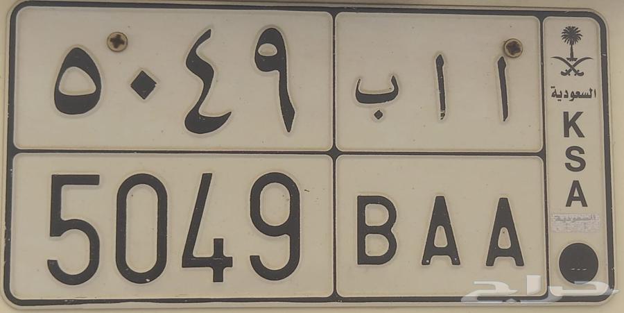 Painting for Sale Painting64837600311298110