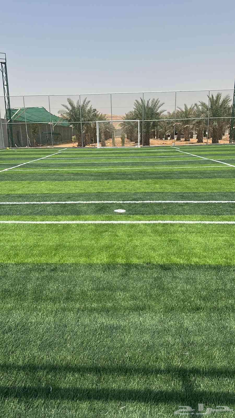 توريد وتركيب انجيله صناعيه ملاعب وحدايق سعر الجملة64451069604354110