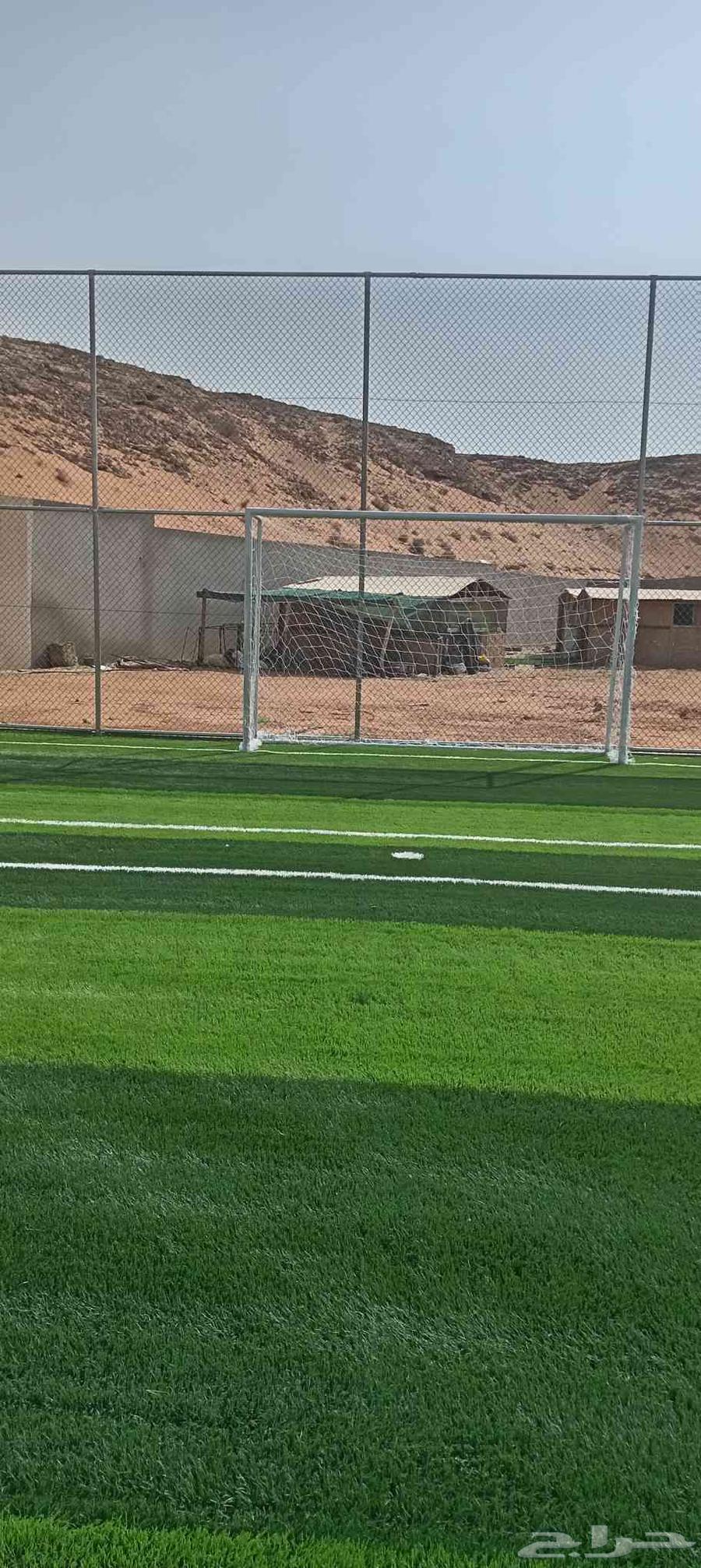 توريد وتركيب انجيله صناعيه ملاعب وحدايق سعر الجملة64451069604354111