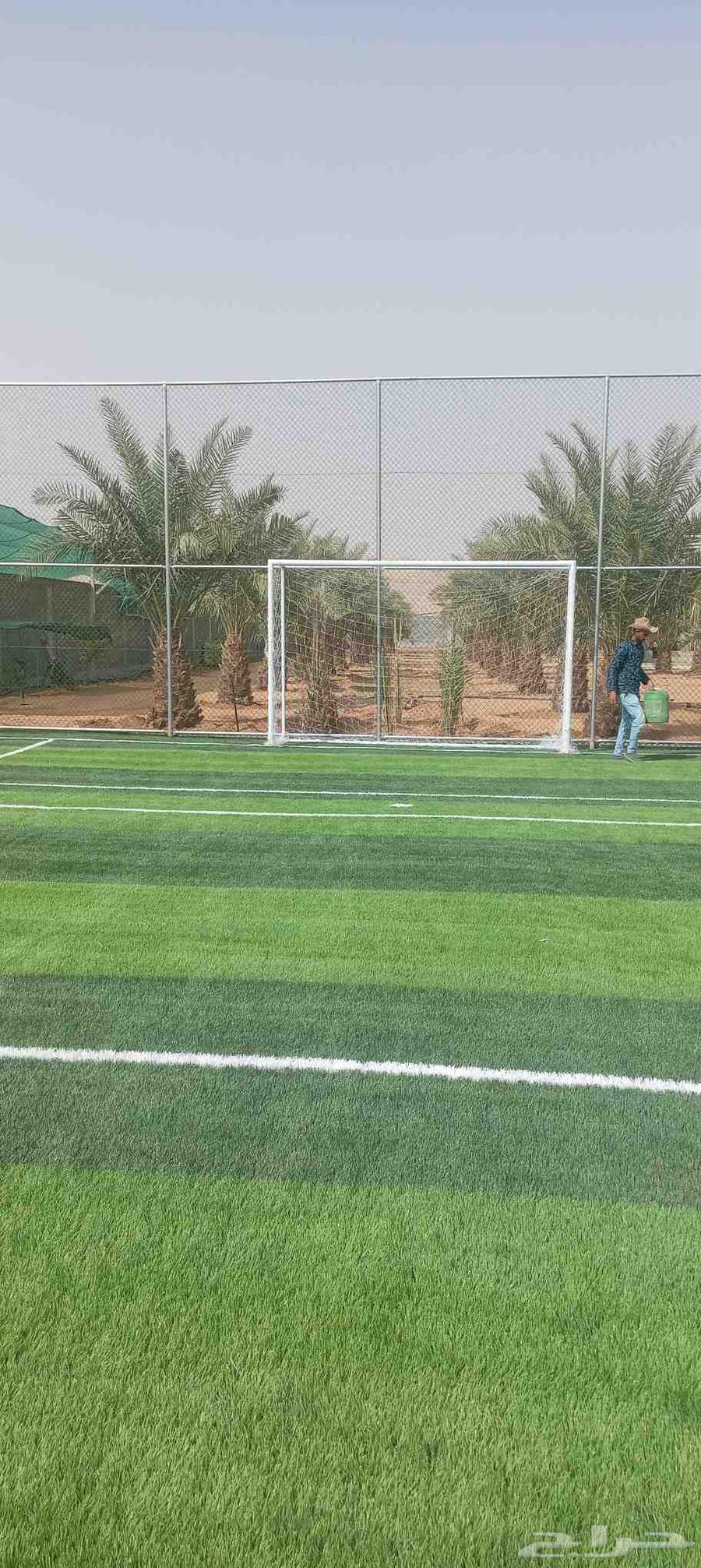 توريد وتركيب انجيله صناعيه ملاعب وحدايق سعر الجملة64451069604354112