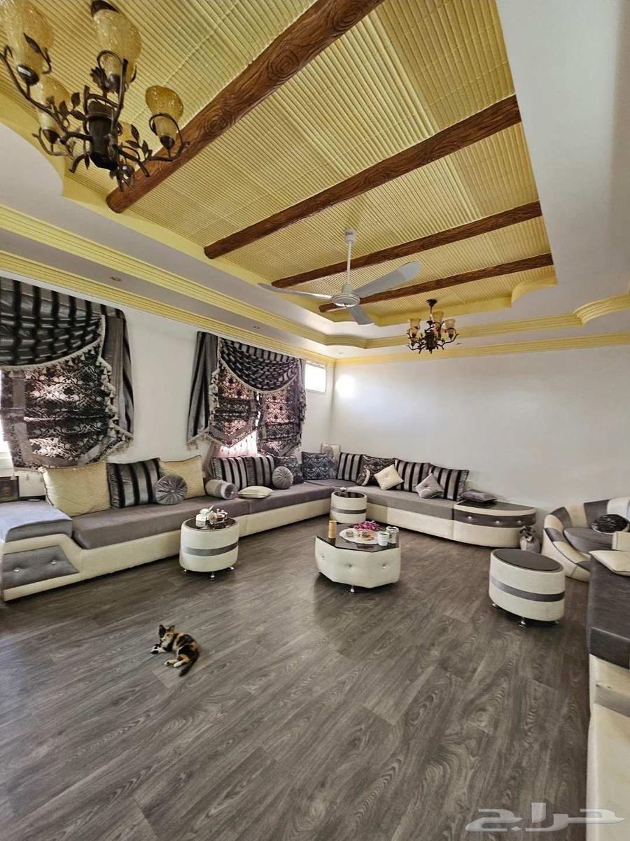 مجلس كنب للبيع64418404033027111