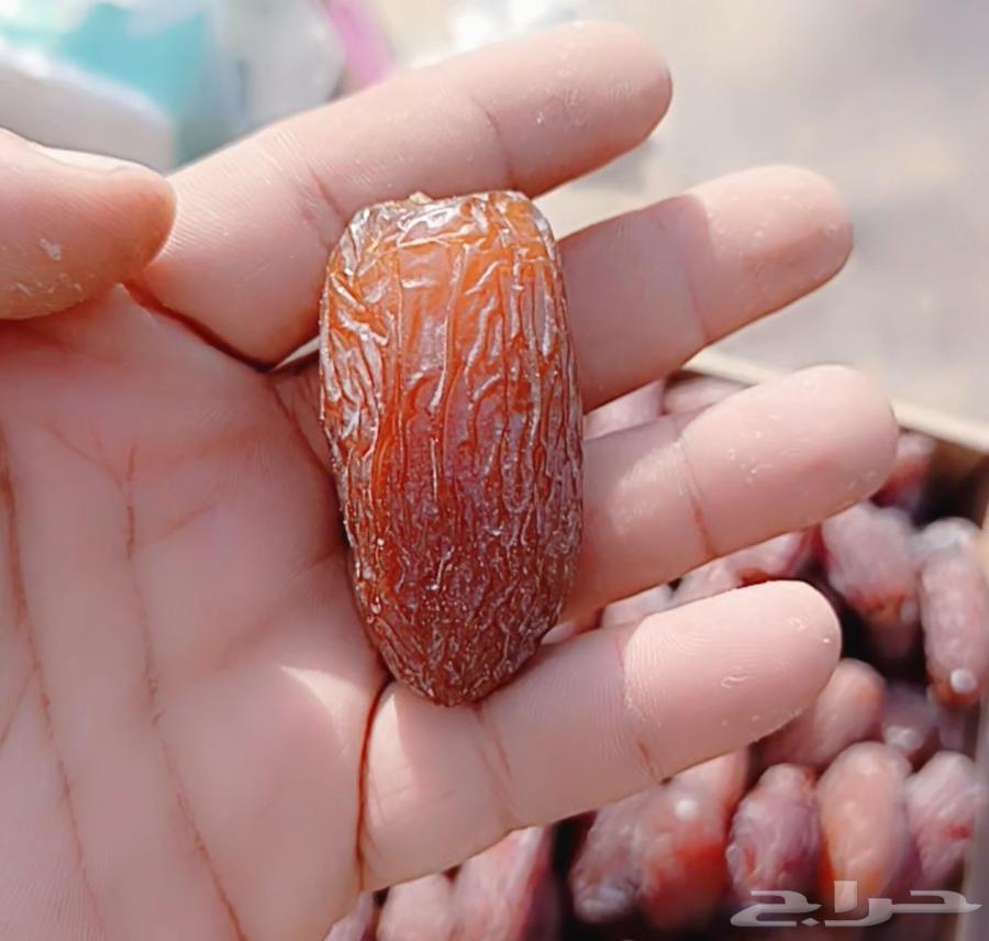 مجدول جدا نضيف64415625946243112