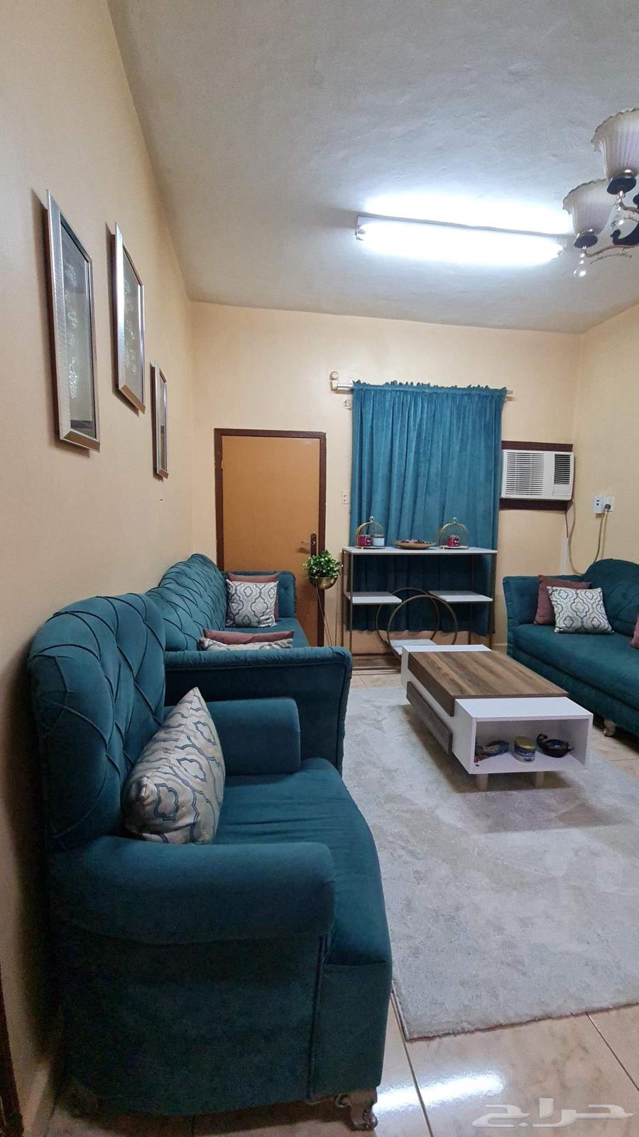 كنب نظيف مع ستاره .. للبيع 500 ريال للجادين يجون خاص64417319590147111