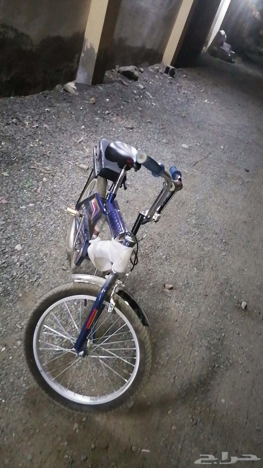 رامبو اندنوسي اصلي اللون كحلي استخدام 3شهور او 464418567002499110