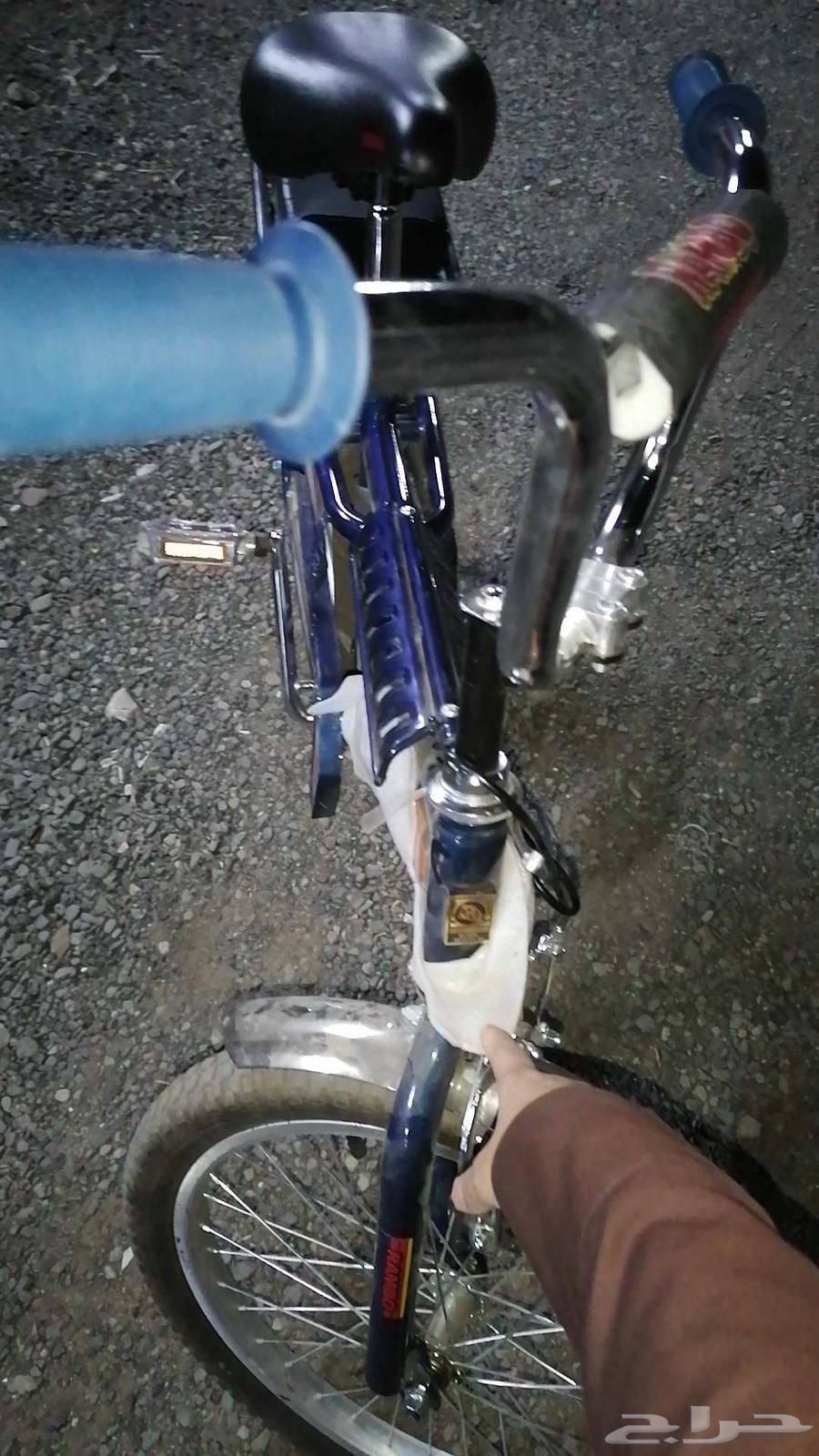 رامبو اندنوسي اصلي اللون كحلي استخدام 3شهور او 464418567002499113