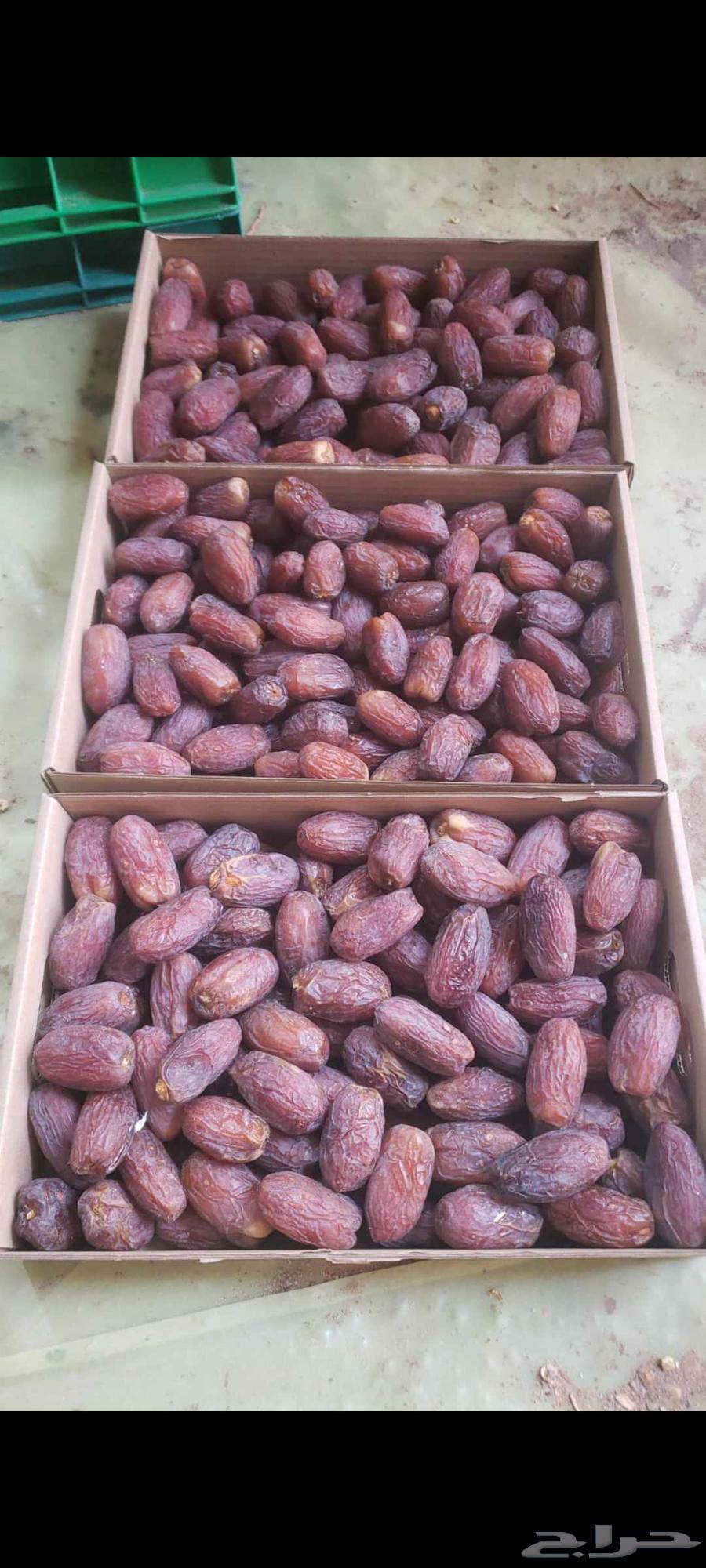 مجدول جدا نضيف64415625946243114