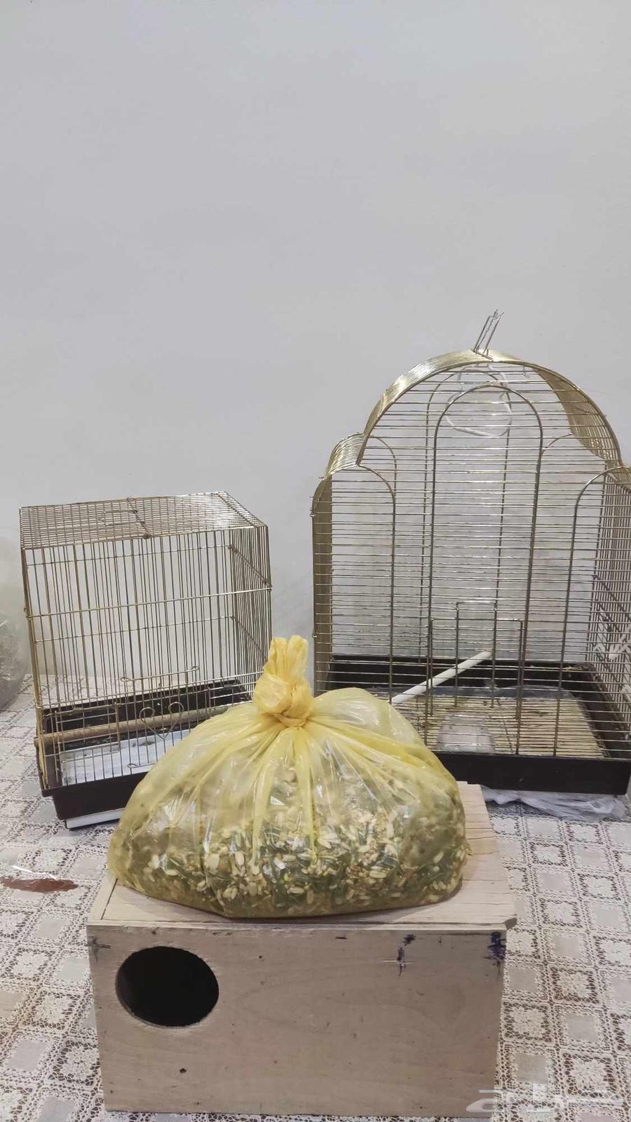 للبيع اقغاص ذهبية64416769748995110