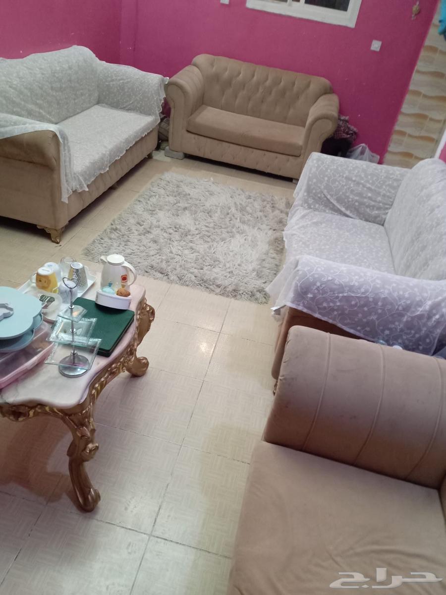 كنبات للبيع كله ب40064412869969921114