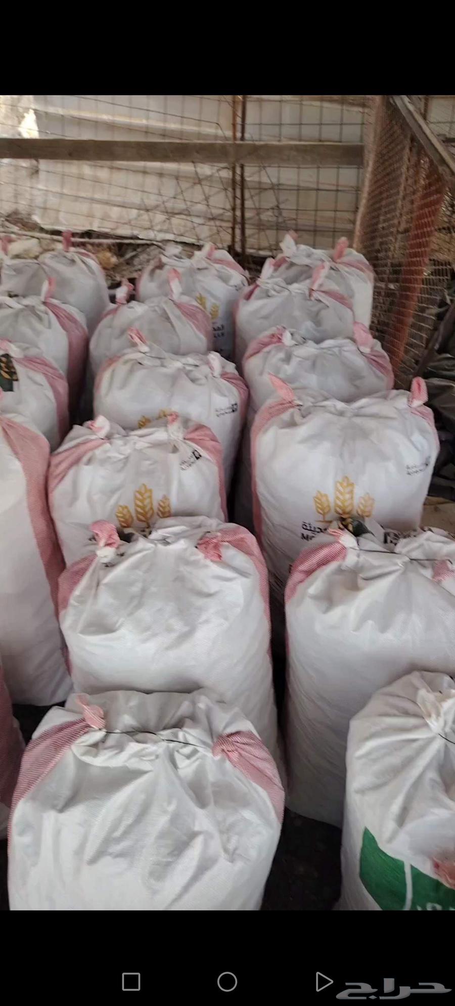 زوايد خبز تنفع لحميع الحلال وخاصة الابل64412333448706114