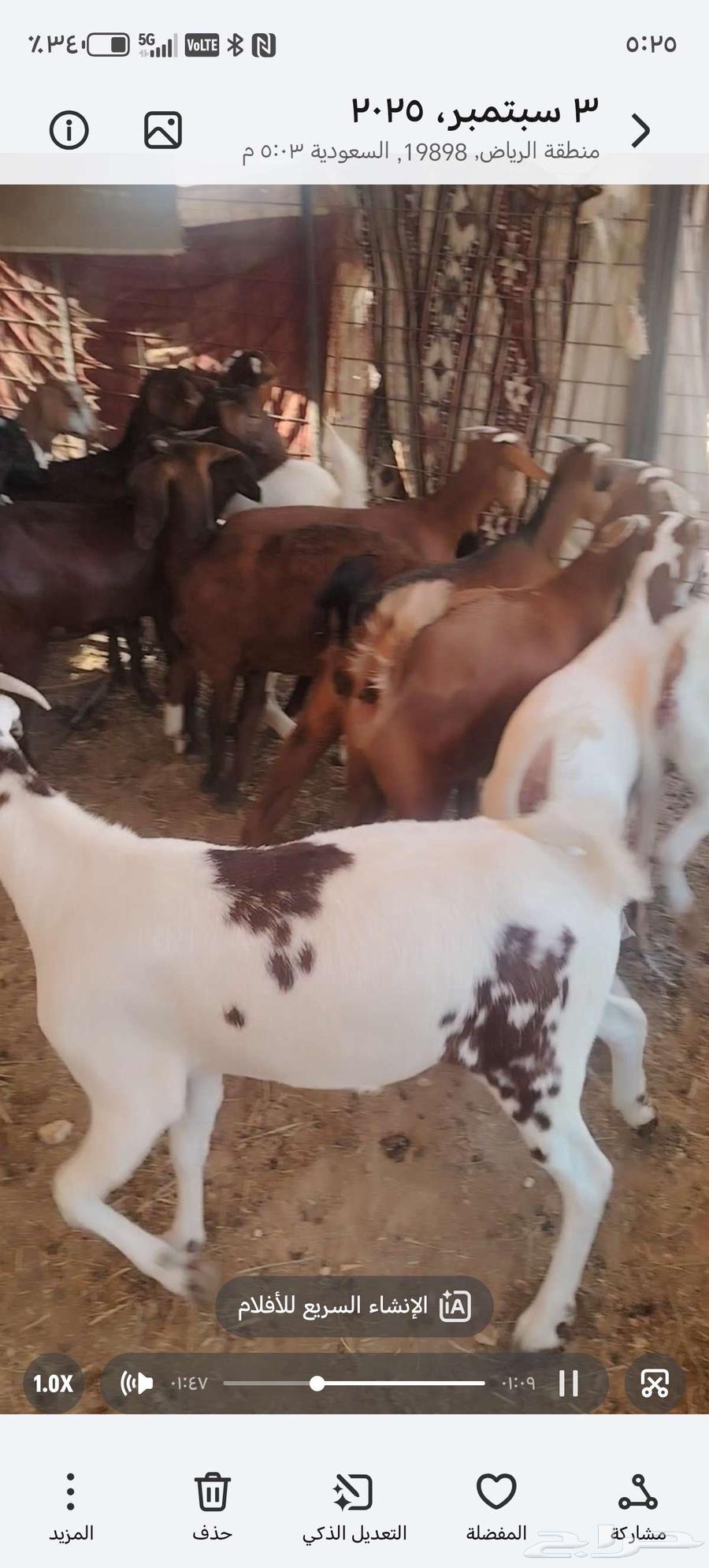 Jaffr Al-Ful64416492755842110