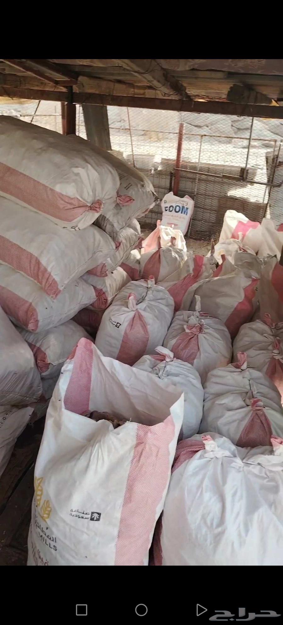 زوايد خبز تنفع لحميع الحلال وخاصة الابل64412333448706113