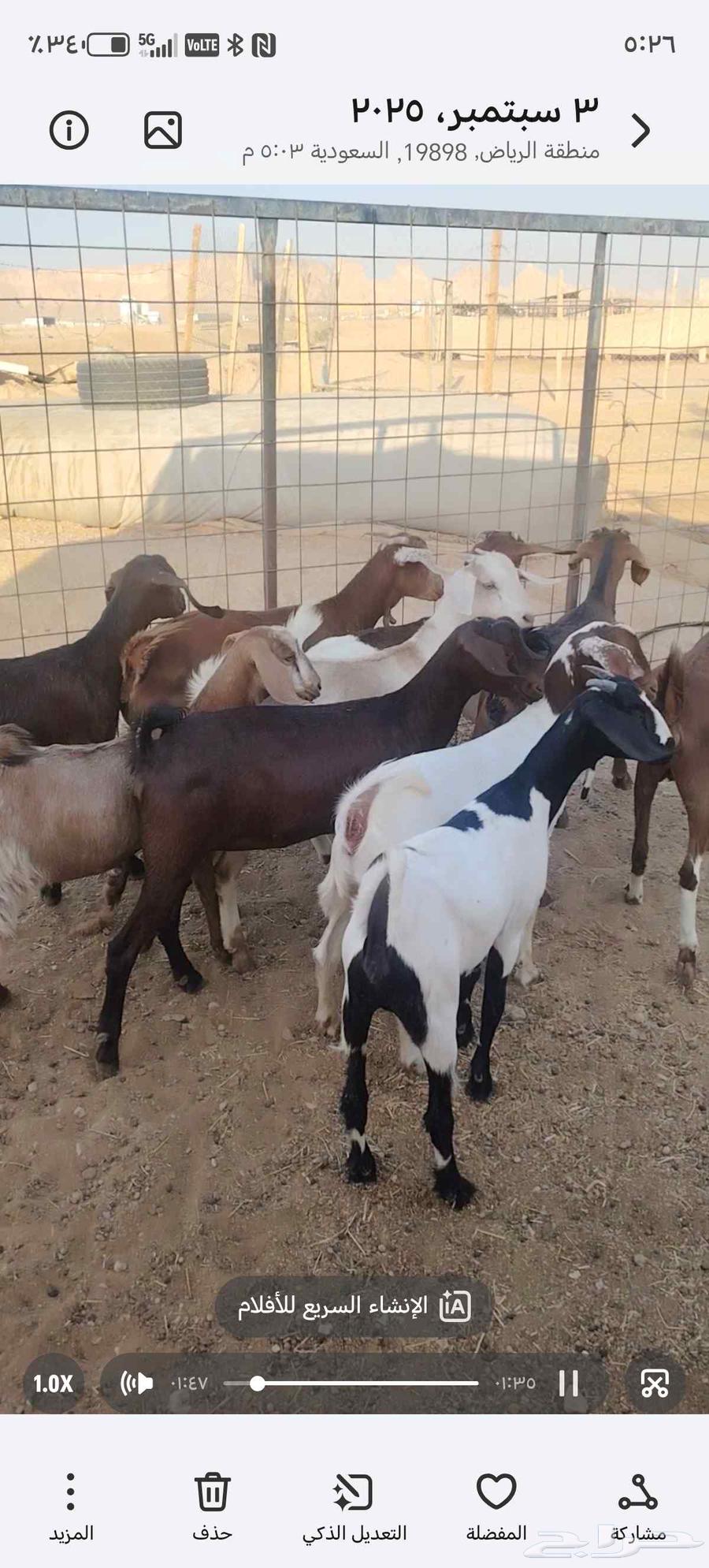 Jaffr Al-Ful64416492755842111