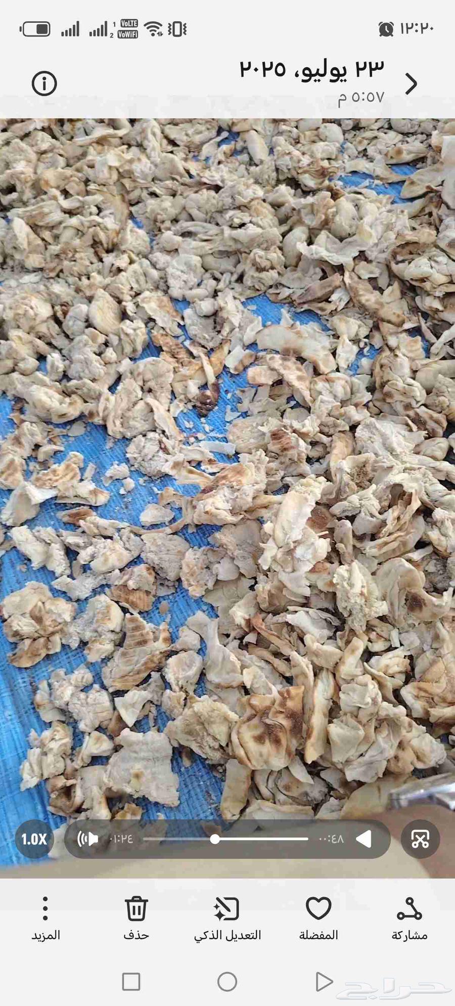 زوايد خبز تنفع لحميع الحلال وخاصة الابل64412333448706112