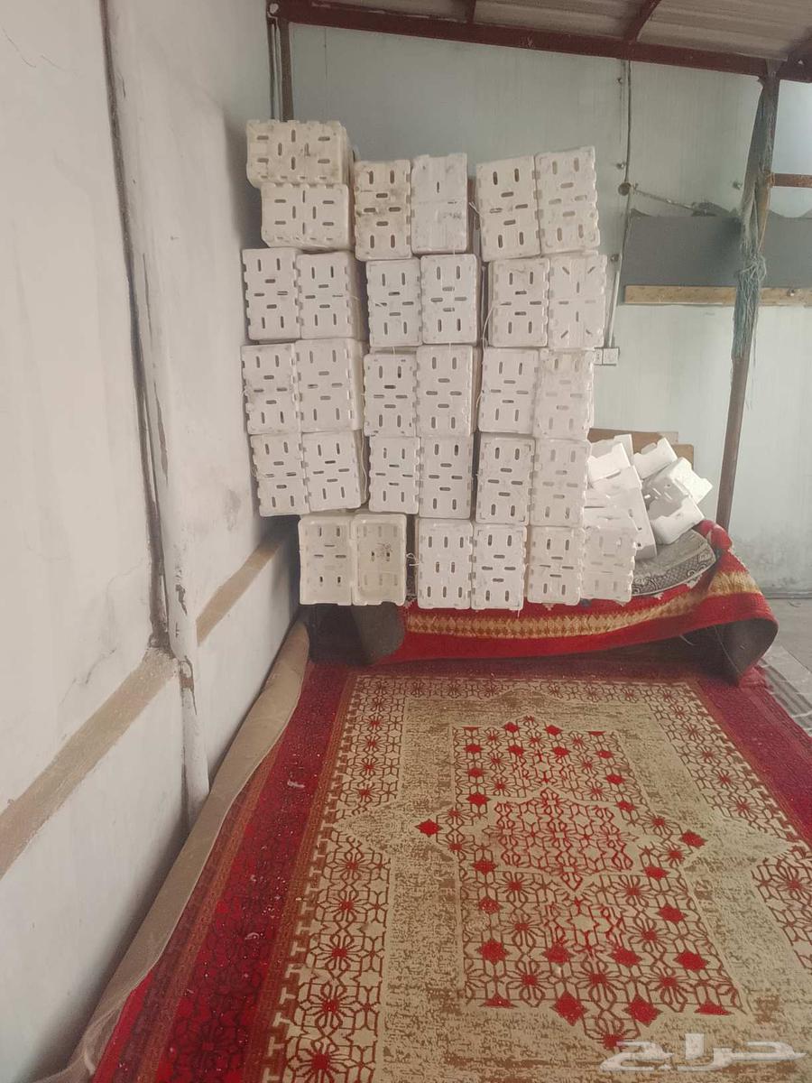 I have used flint for sale, 400 pieces for 40 riyals64414237160321110