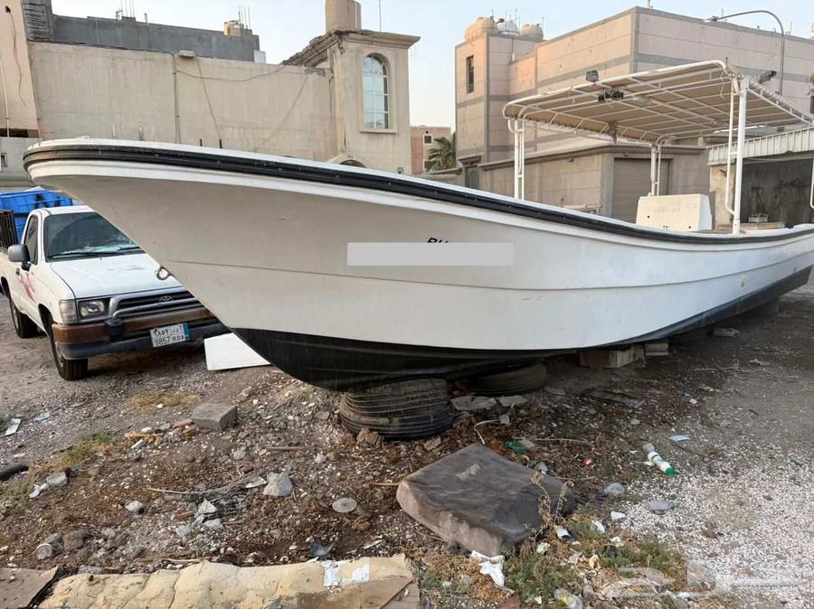 جرم النورس 31 قدم64417184001539113