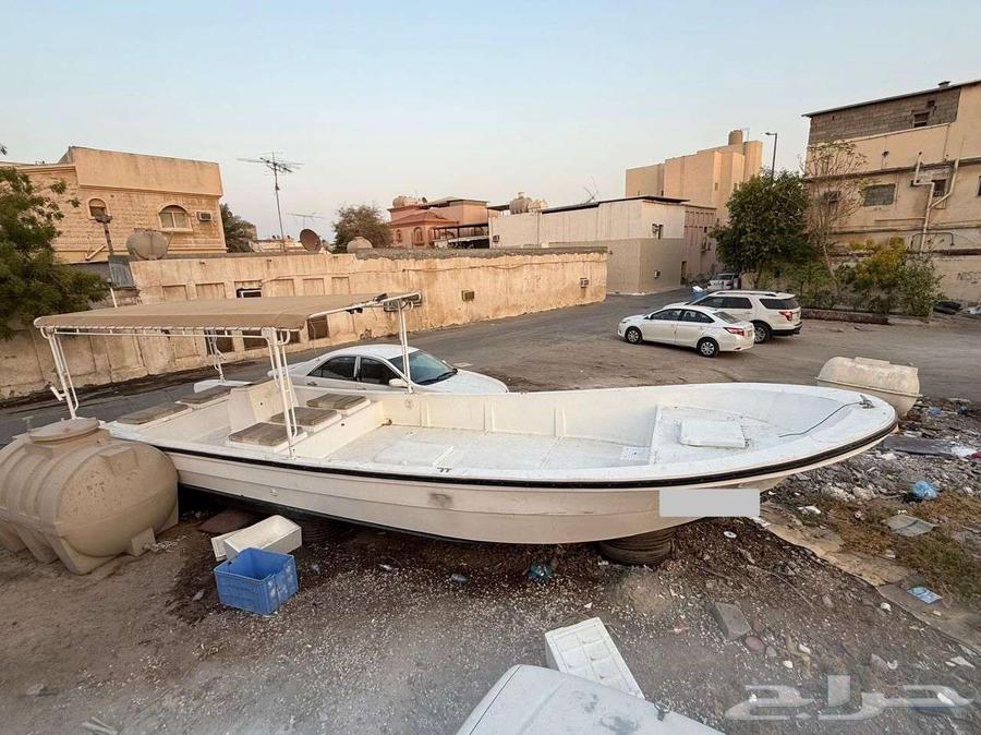 جرم النورس 31 قدم64417184001539111