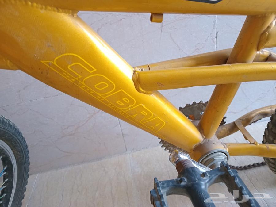 دراجه كوبرا للبيع64414063814658111