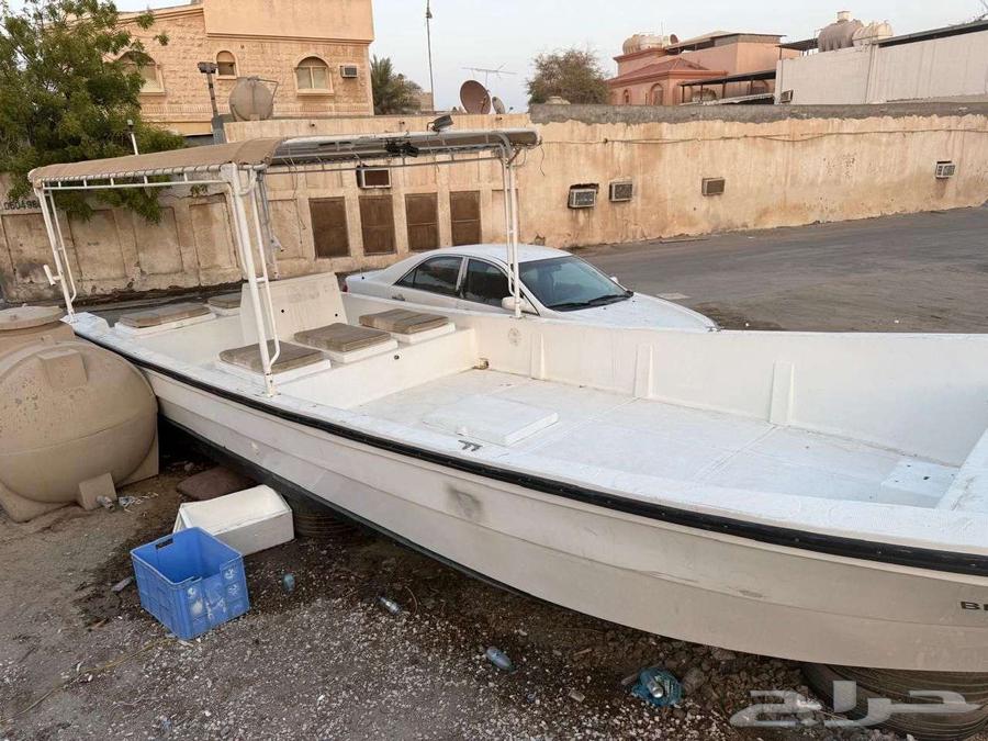 جرم النورس 31 قدم64417184001539110