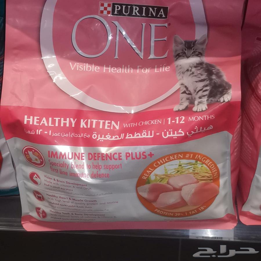 طعام القطط الصغيرة64416558257409110