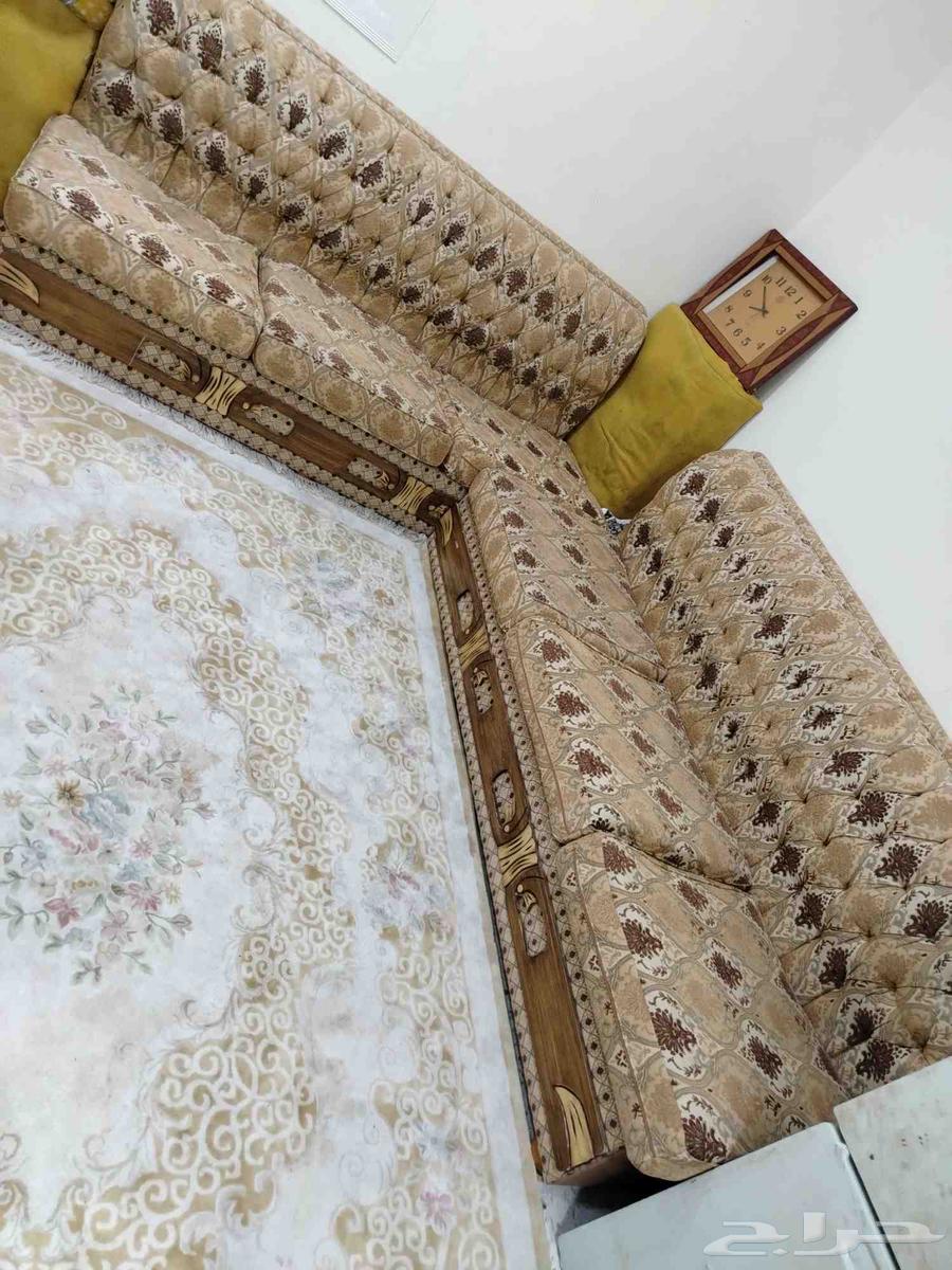 كنبات للبيع كله ب40064412869969921110