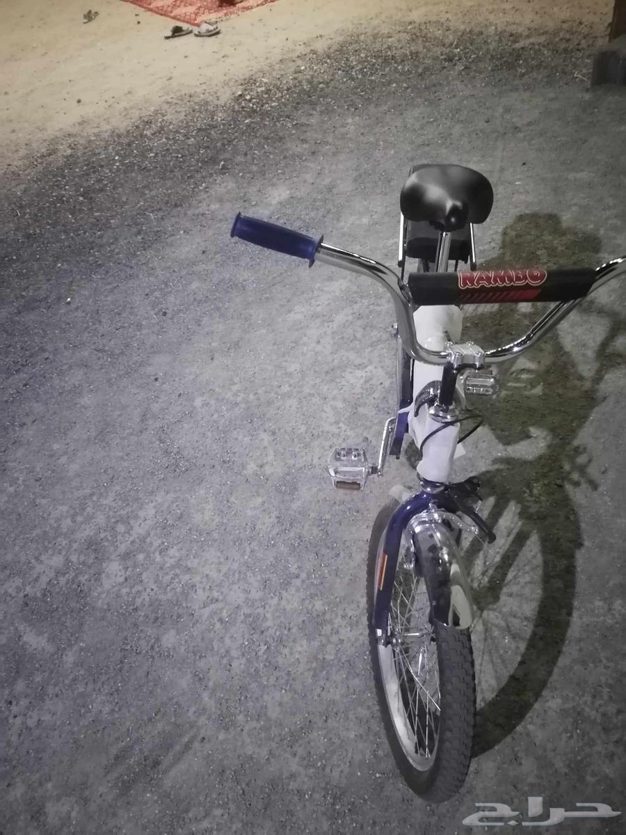 رامبو اندنوسي اصلي اللون كحلي استخدام 3شهور او 464418567002499114