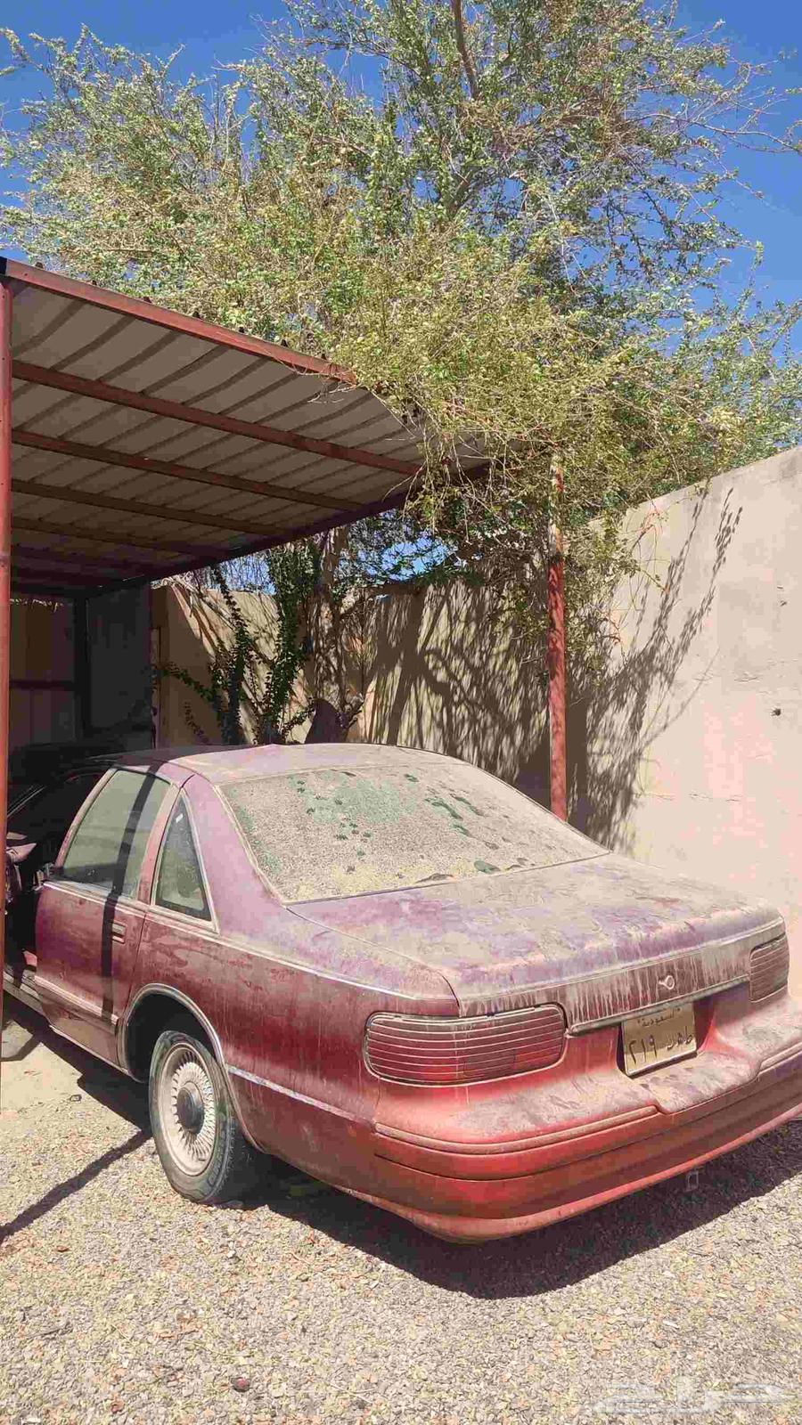 للبيع كابرس 93 تشاليح مطوف 16 سنه64573601435266110