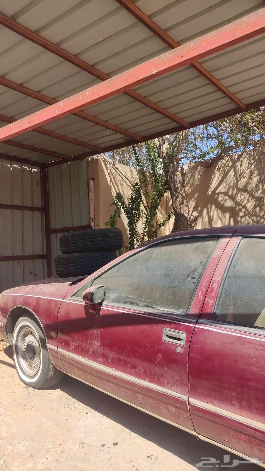 للبيع كابرس 93 تشاليح مطوف 16 سنه64573601435266111