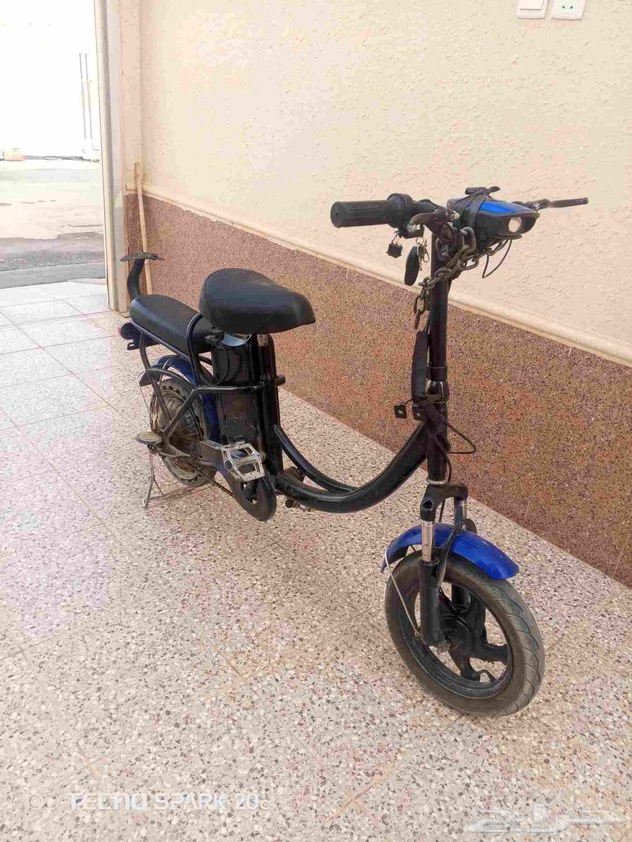 اسكوتر مقاس 12شبه جديد المطلوب 60064419145047297112