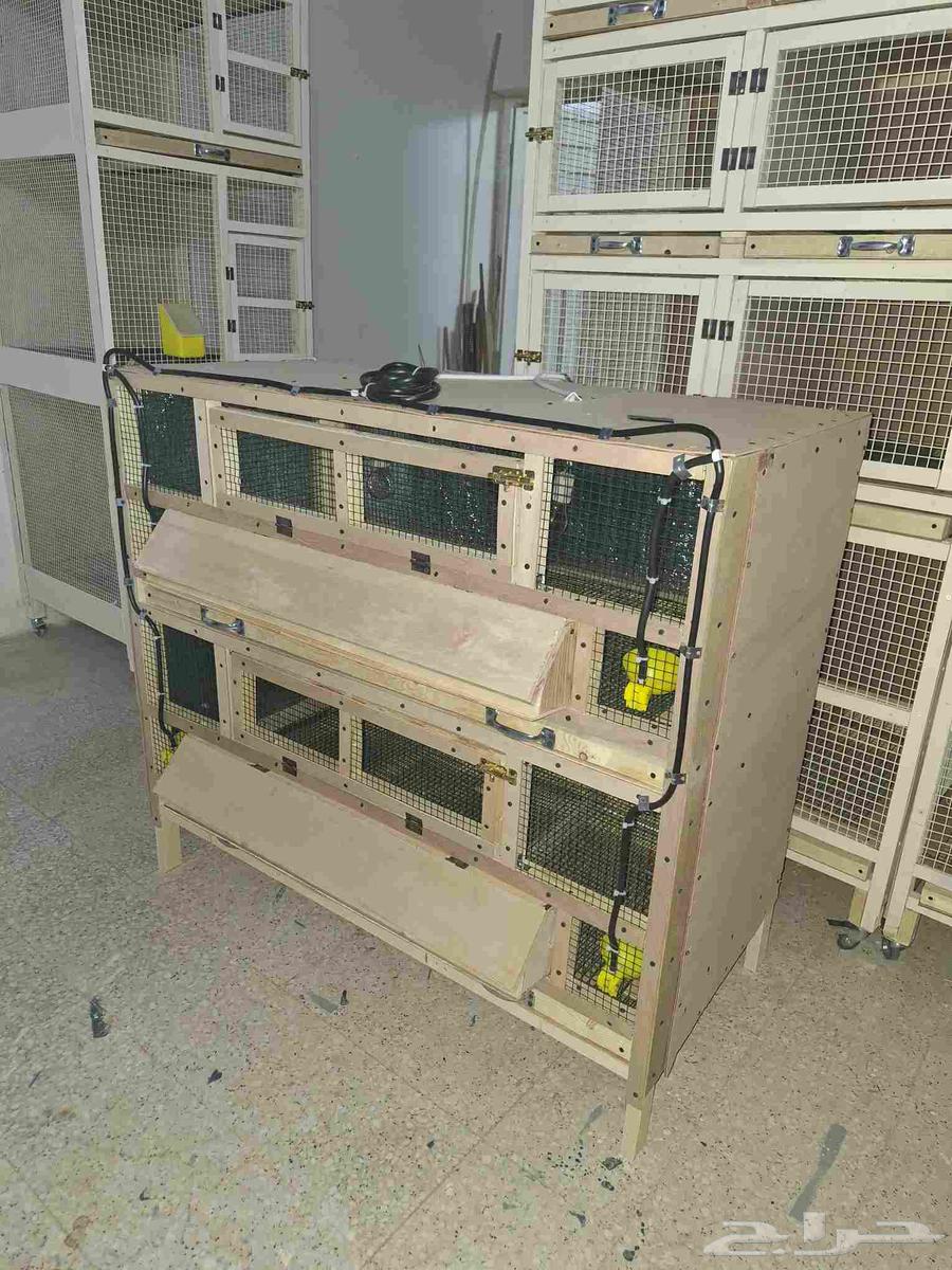 Chicken, Quail, and Duck Brooder in Al-Zulfi64413931474307111