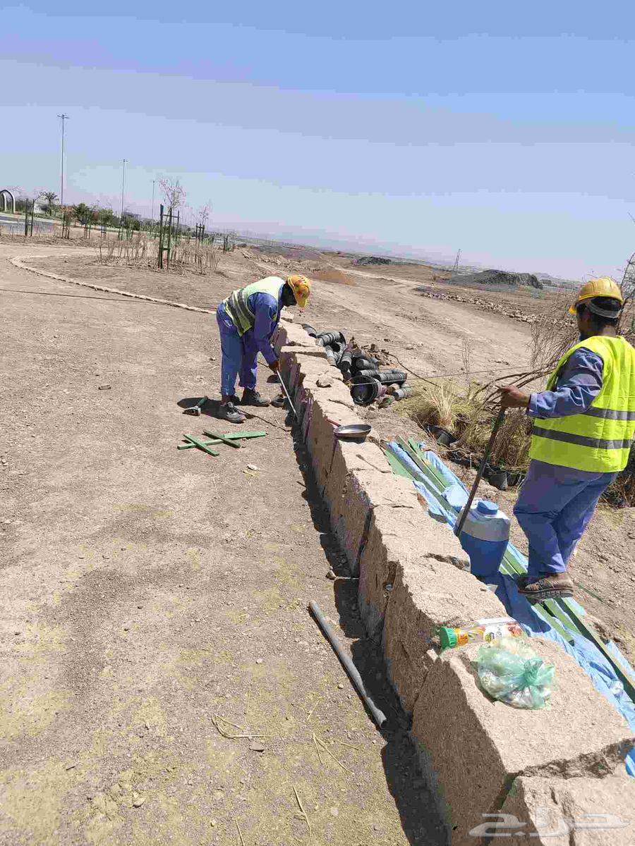 توريد جميع أنواع الحجر الطبيعي64538890035715113