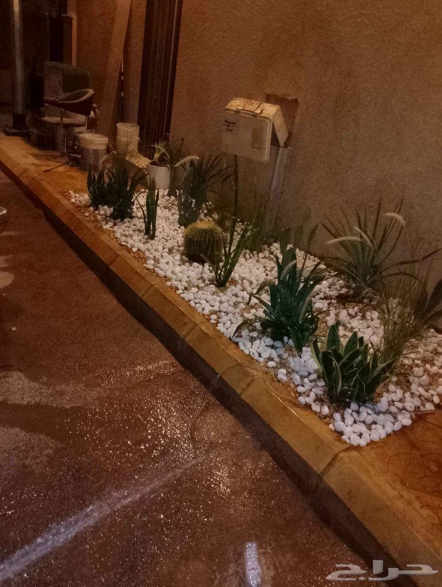 مشتل توريد وزراعة الاشجار64145700107139110