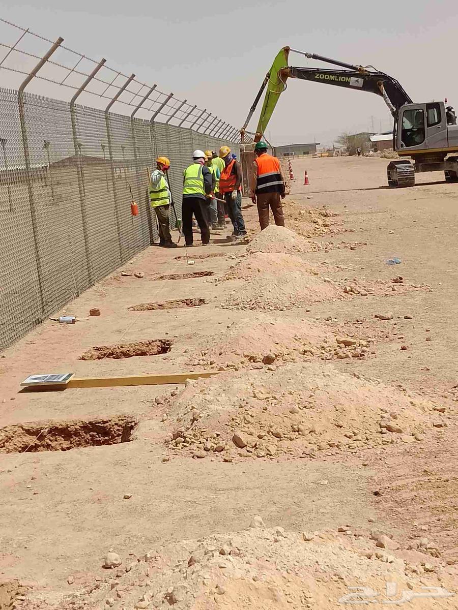 مقاول تركيب شبوك وزراعة النخيل64250138591361110