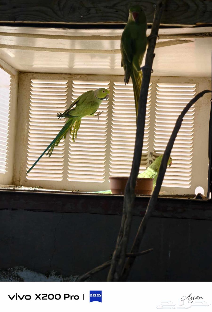 Producing Date Passport64416201028226111