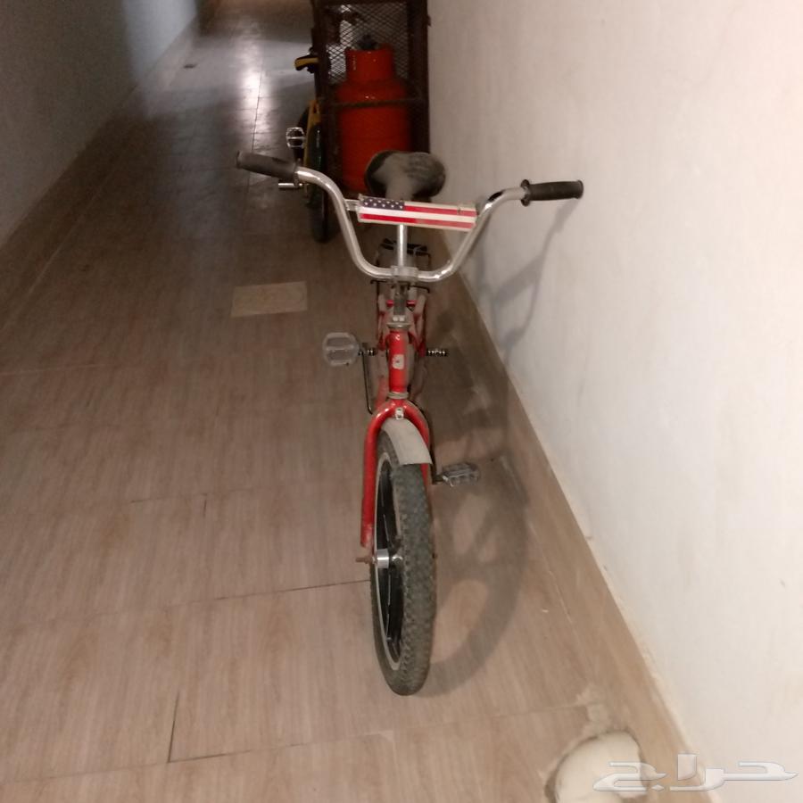 سيكل رامبو للبيع64418282107522113
