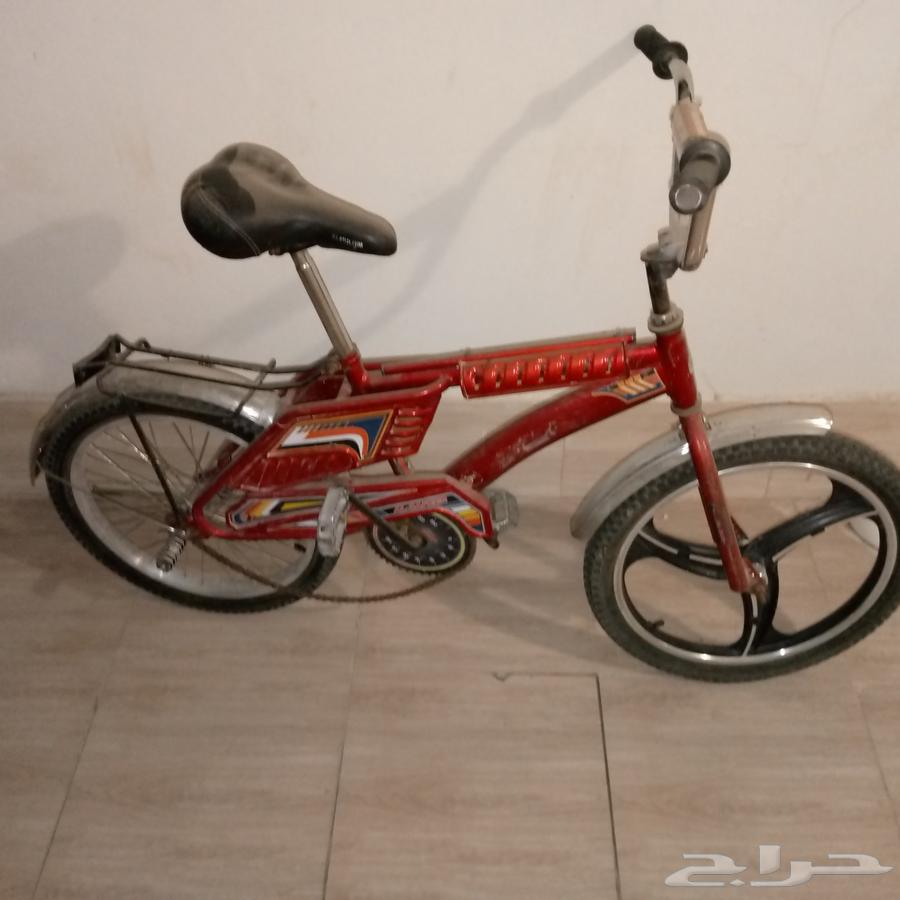 سيكل رامبو للبيع64418282107522114