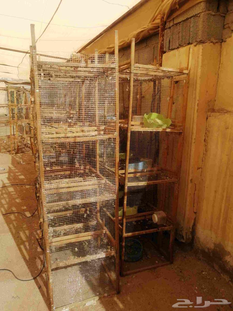 محاك حمام 8 عيوني مستخدمه64415733285891112