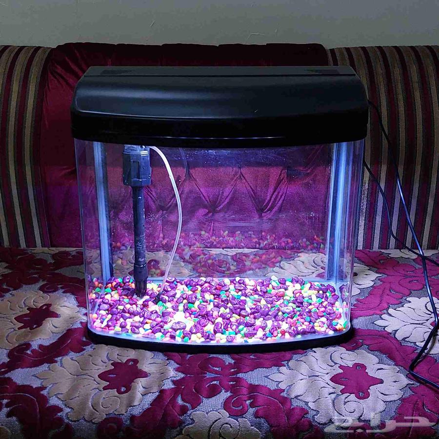 حوض سمك شبه جديد64419198303746113