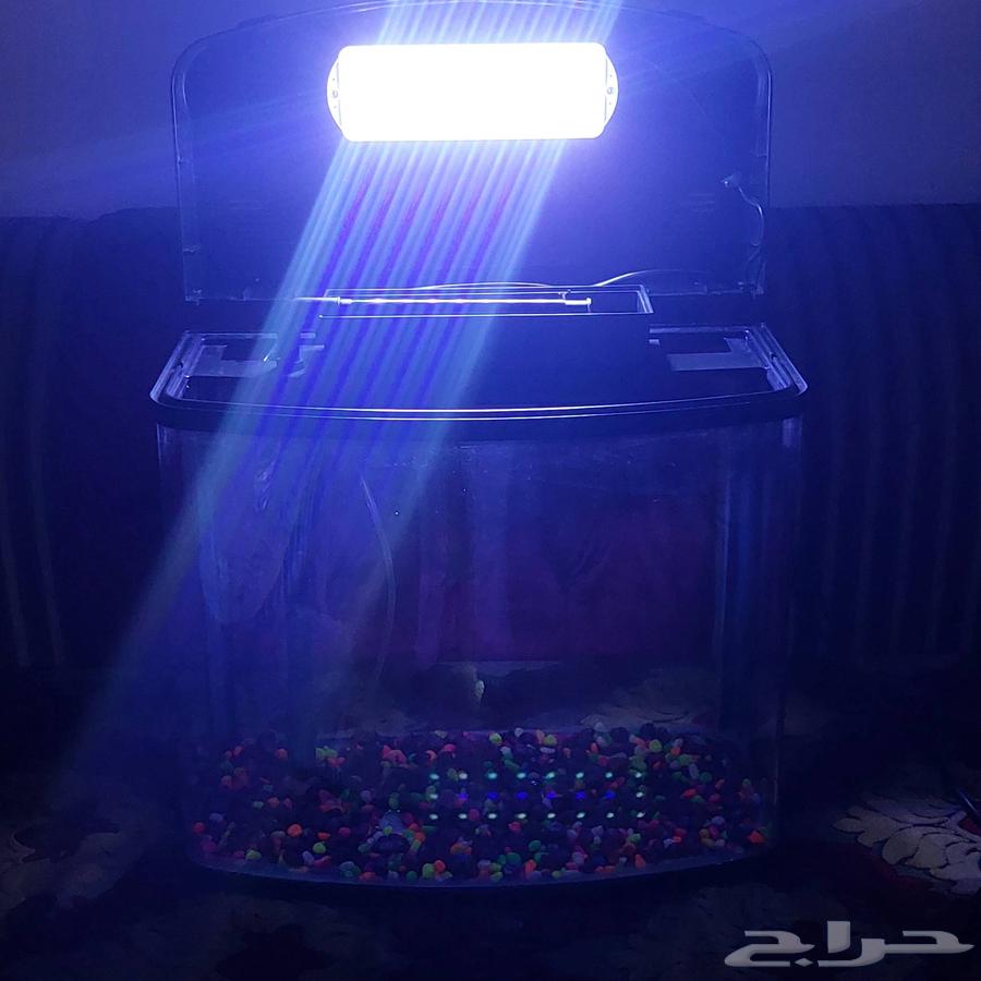 حوض سمك شبه جديد64419198303746114
