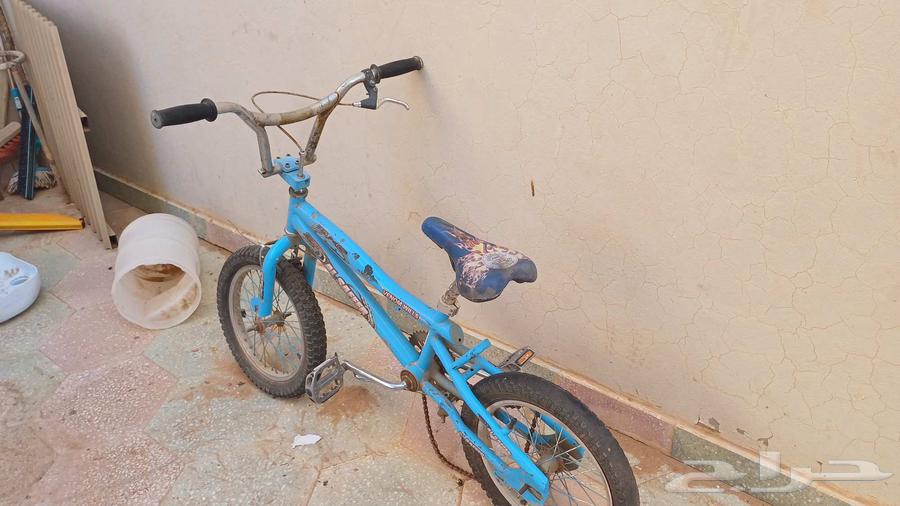 سيكل كوبرا للبيع مقاس 1864416914999810111