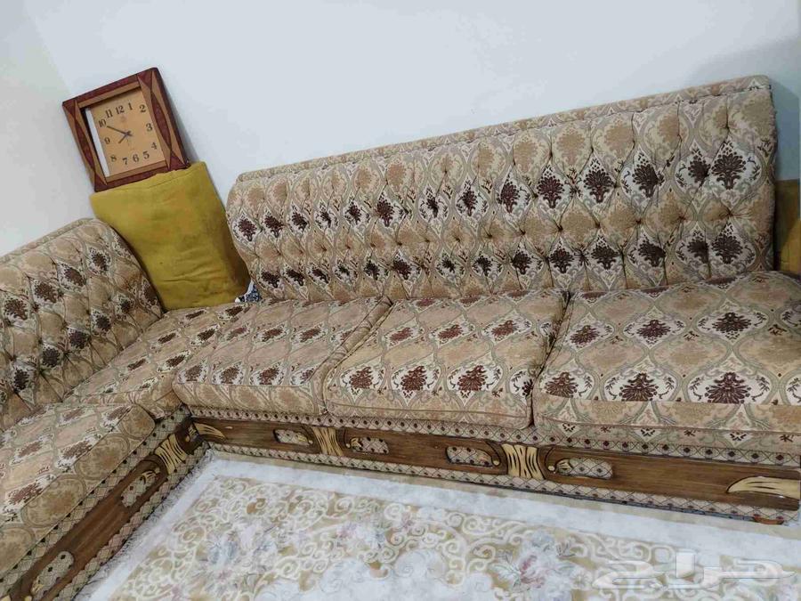 كنبات للبيع كله ب40064412869969921111