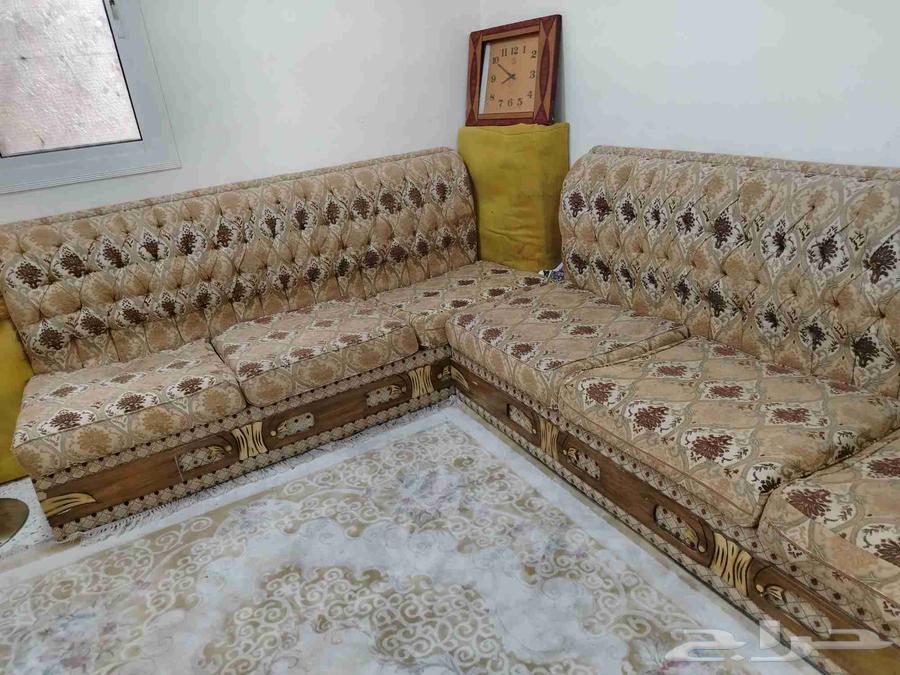 كنبات للبيع كله ب40064412869969921112