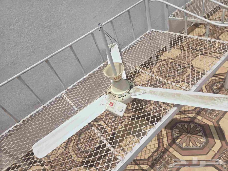 مروحة سقف Shamsمستعملة للبيع64414700006786110