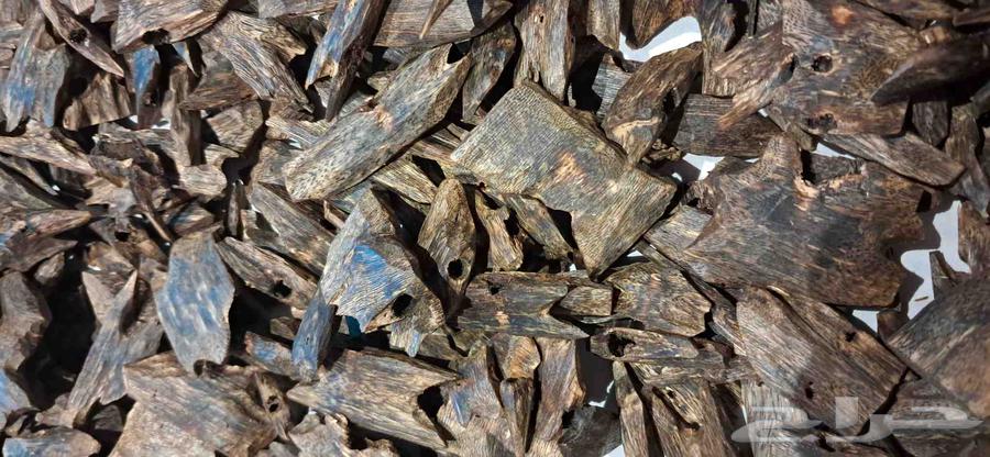 عود كينام الطبيعي الفاخر دبل سوبر مرتفع اوقيه 65 ريال64413639574274114