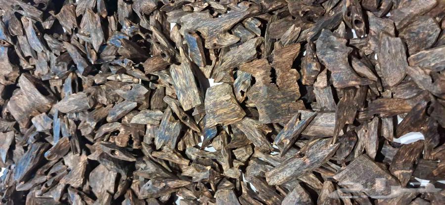 عود كينام الطبيعي الفاخر دبل سوبر مرتفع اوقيه 65 ريال64413639574274113