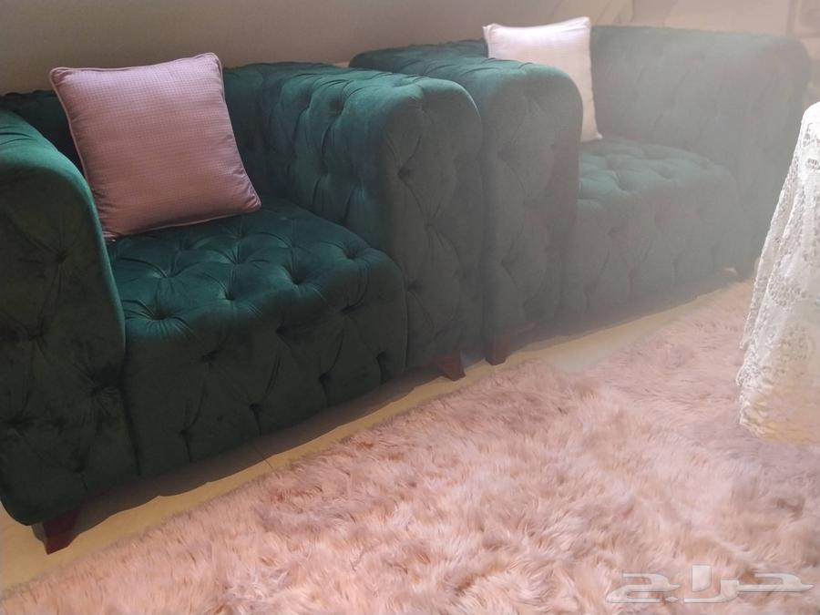 An opportunity you can't miss64416756632834114